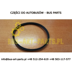 ORING DEKLA POMPY WSPOMAGANIA SETRA S3..HD