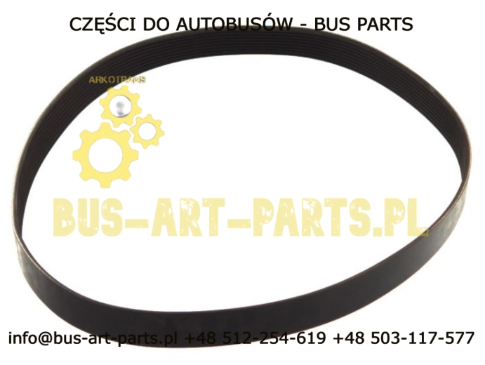 PASEK WIELOROWKOWY MERCEDES O350 EURO 3 SETRA S3.. HDH