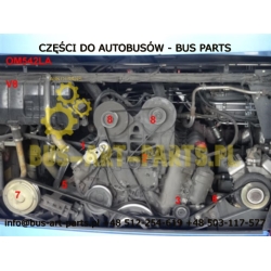 ROLKA PASKA KLIMATYZACJI 95X40 SETRA S4.. MERCEDES TRAVEGO V8