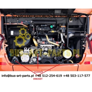 KOŁO PASOWE PASKA ALTERNATORA ŚRODKOWEGO G1 SILNIKA 8PK 8-ROWKOWA SETRA S5..HD HDH S515HD S516HD S516HD S517HD MERCEDES TOURISMO