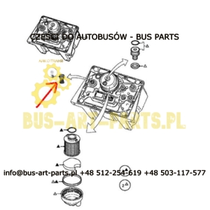 SITKO FILTEREK AD BLUE BOVA EURO 4 EURO 5