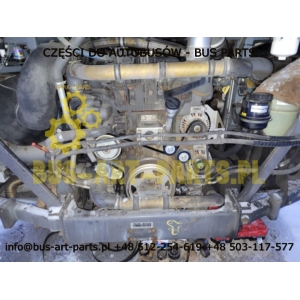 PASEK WIELOROWKOWY VDL EURO 6 MX13