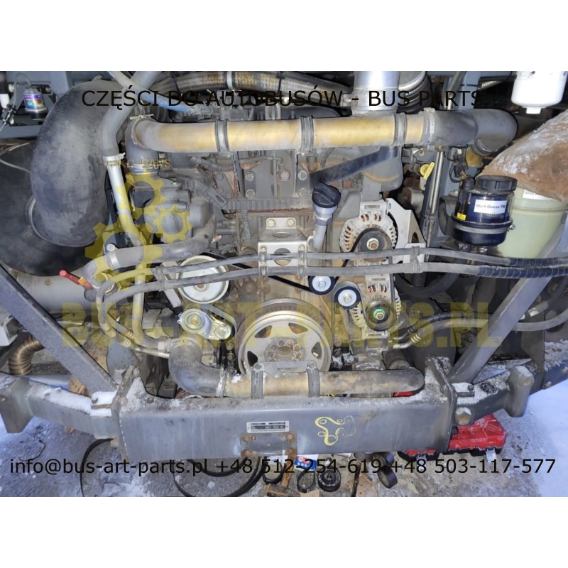 PASEK WIELOROWKOWY VDL EURO 6 MX13