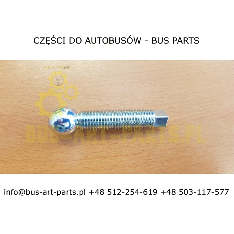 SWORZEŃ ŁAPY SPRZĘGŁA TEMSA OPALIN SETRA