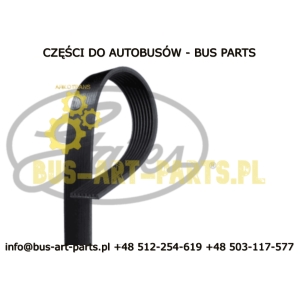 PASEK WIELOROWKOWY BOVA VDL FUTURA II EURO 6 / SOLARIS INTER URBINO EURO 6