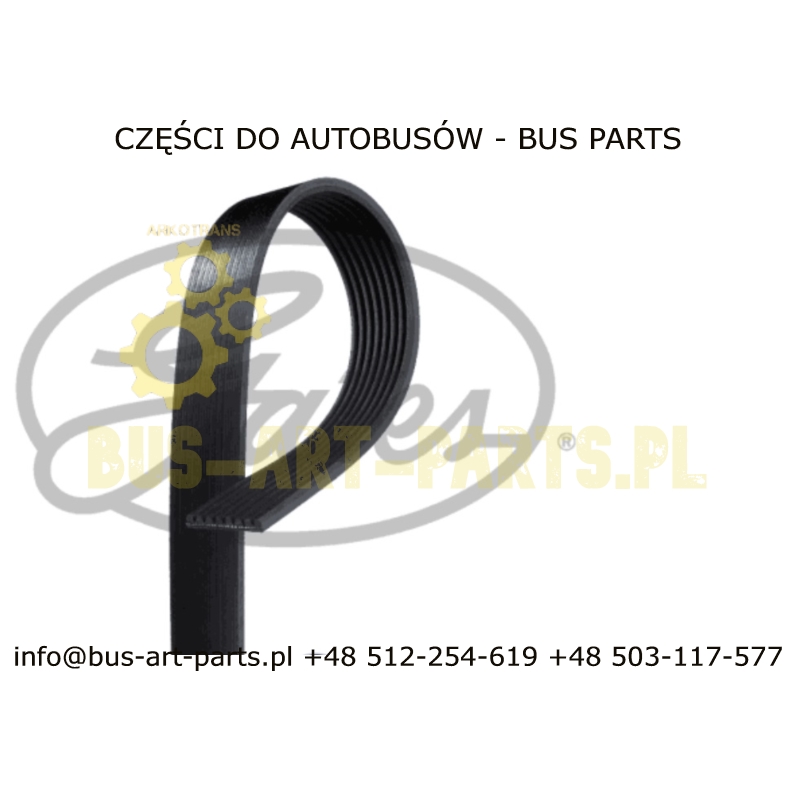 PASEK WIELOROWKOWY BOVA VDL FUTURA II EURO 6 / SOLARIS INTER URBINO EURO 6