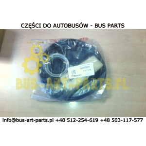 ZESTAW NAPRAWCZY SIŁOWNIKA MASATS Q-125 DO 102147A0