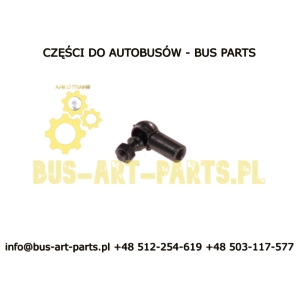 KOŃCÓWKA CIĘGNA