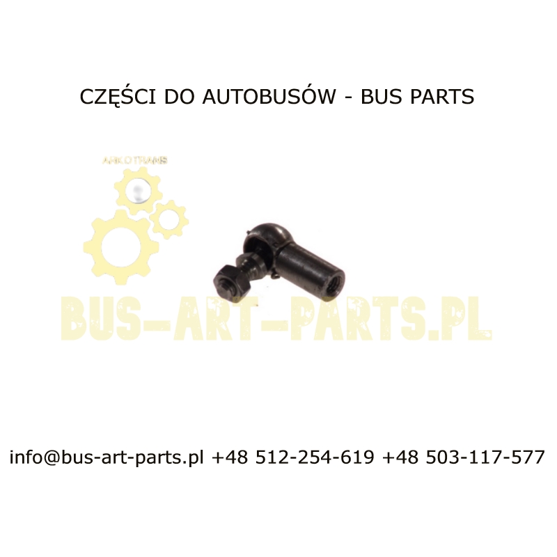 KOŃCÓWKA CIĘGNA
