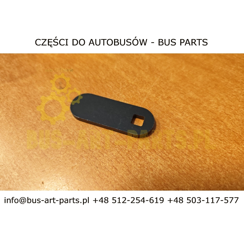 LIZACZEK JEZYCZEK ZAMKA