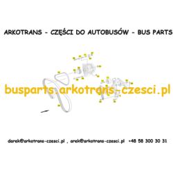 PASEK KOMPRESORA KLIMATYZACJI SETRA S5..HD HDH S515HD S516HD S516HD S517HD