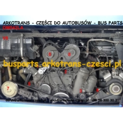 ROLKA PASKA KLIMATYZACJI 95X40 SETRA S4.. MERCEDES TRAVEGO V8
