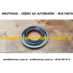 SIMERING USZCZELNIACZ WAŁKA ATAKU TYLNEGO MOSTU VAN HOOL MOST EATON 10569718