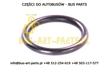 ORING WTRYSKIWACZA 25x3,9MM MERCEDES SETRA
