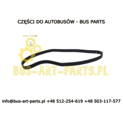 PASEK WIELOROWKOWY 8PK1610