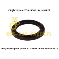 SIMERING WAŁKA ATAKU NEOPLAN MERCEDES SOLARIS MAN