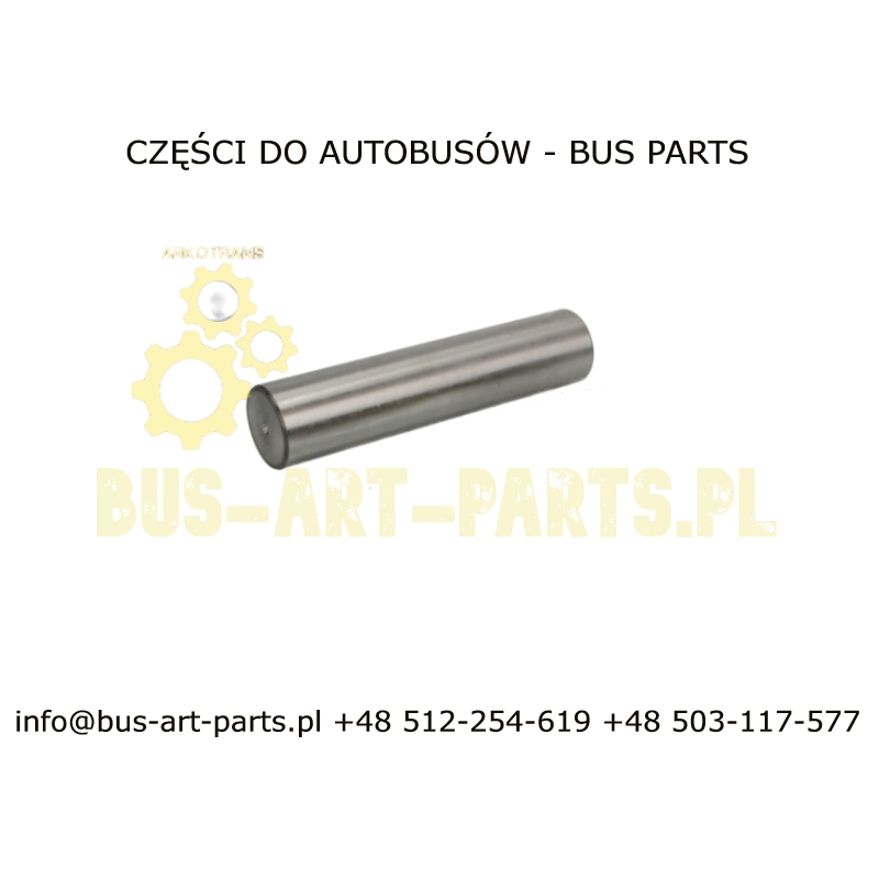 SWORZEŃ ZWROTNICY ZF 50X223 NEOPLAN