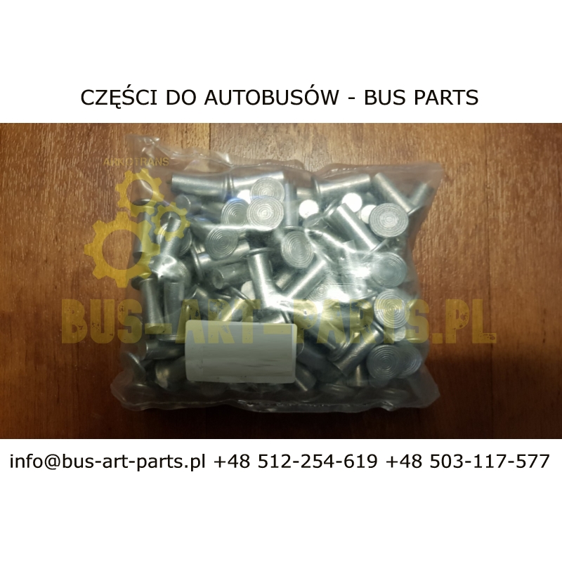 NIT ALUMINIOWY 8X22  KOMPLET 100 SZT. MAN MERCEDES O405 PRZÓD / TYŁ