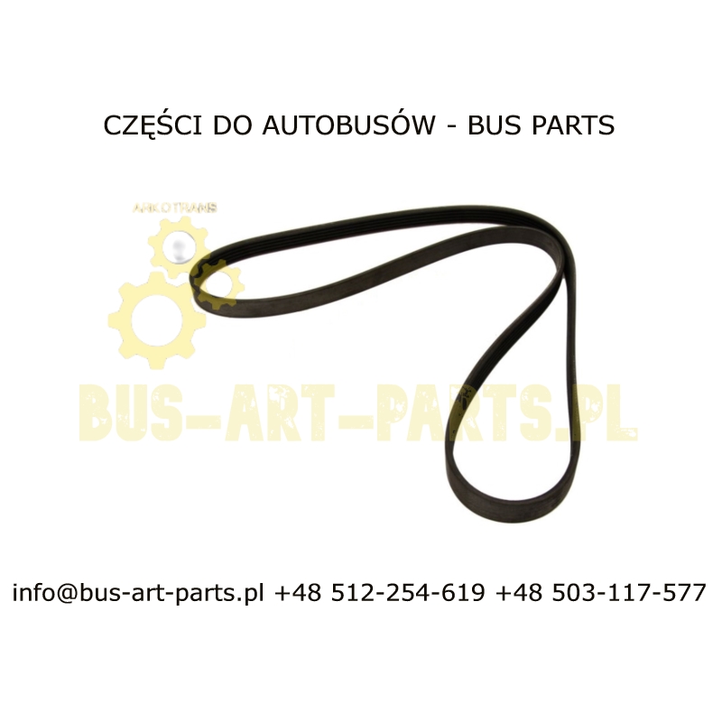 PASEK WIELOROWKOWY ILIADE DCI11
