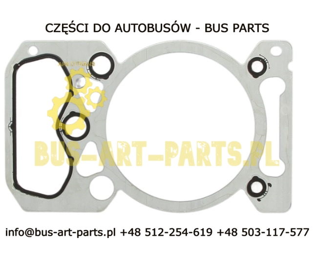 USZCZELKA GŁOWICY RENAULT RVI FR1