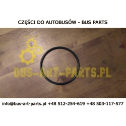USZCZELKA DOLNA POKRYWY FILTRA CAFFE BAR TM CAFEPERFECT CP40