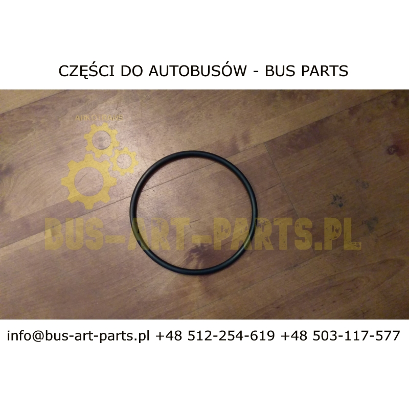 USZCZELKA DOLNA POKRYWY FILTRA CAFFE BAR TM CAFEPERFECT CP40