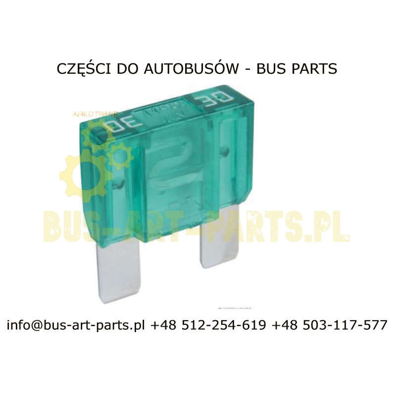 Fuse MAXI 30A (10 pieces ) N000000004213