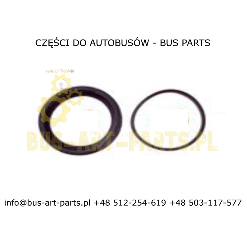 ZESTAW NAPRAWCZY ZACISKU RENAULT RVI FR1 ILIADE