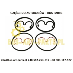 ZESTAW NAPRAWCZY POMPY HYDRAULICZNEJ 0510625055 0510625..