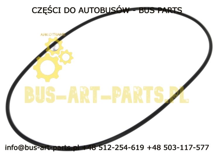 ORING ZWOLNICY 255x265x5  MERCEDES